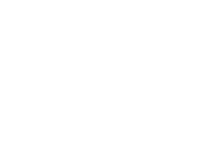 EPAM